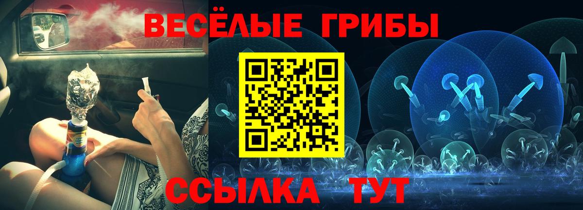 Галлюциногенные грибы MAGIC MUSHROOMS Заводоуковск