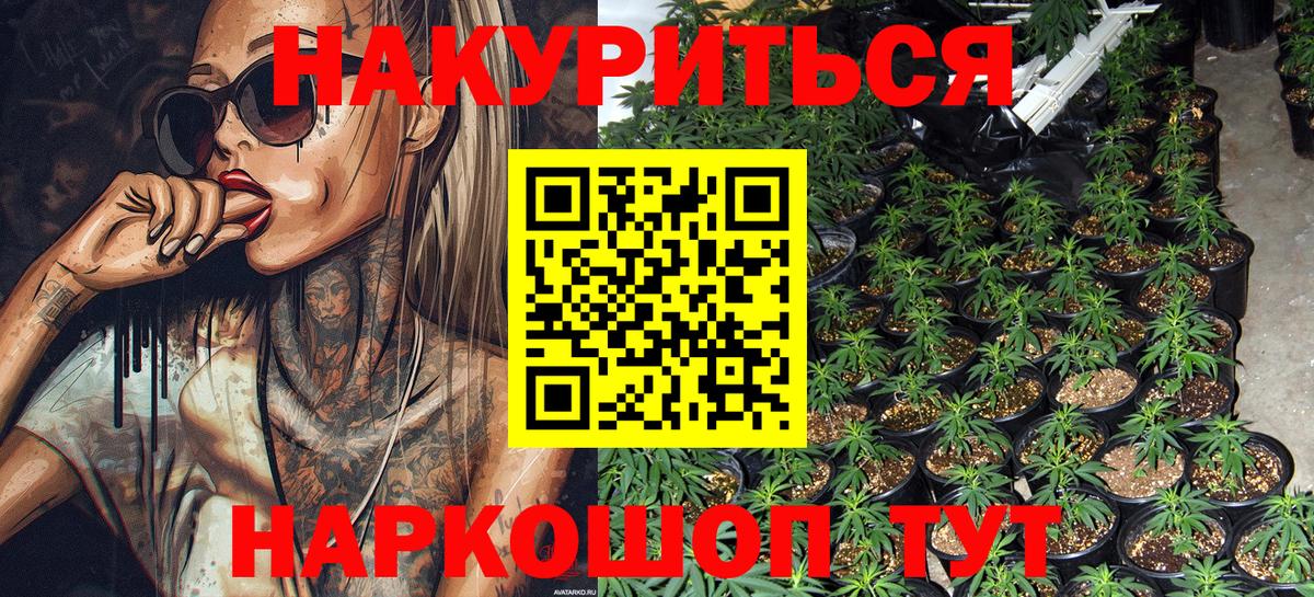 Бошки марихуана Amnesia  Вход с VPN  Бошки марихуана тримм  Шишки марихуана Ganja  Бошки Шишки конопля  Заводоуковск 